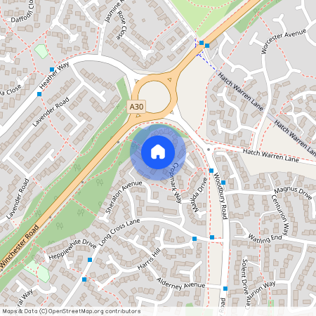 Calleva Close, RG22 4TD