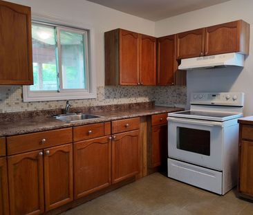 For Lease - 74 David Street Unit# Lower, Brampton, Ontario - Photo 1