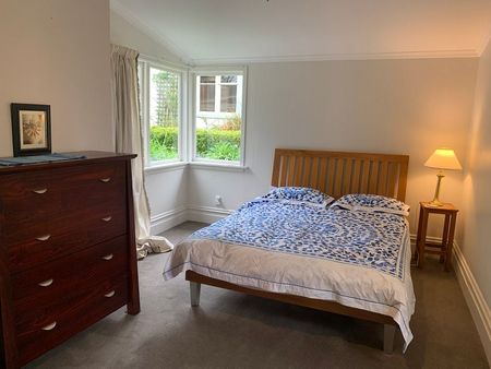 Alfie - Furnished house rental Nelson South - Photo 3