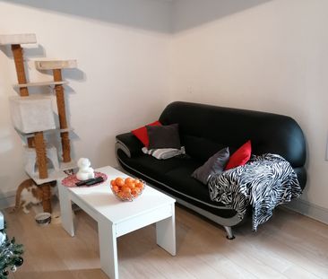 Location Appartement 1 pièce 31m² CHAZAY D AZERGUES 69380 - Photo 3
