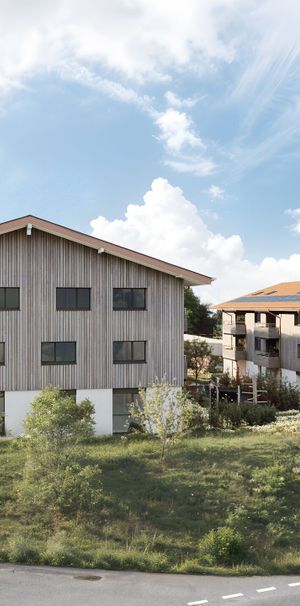 Beautiful new studio in a quiet and green setting - Photo 1