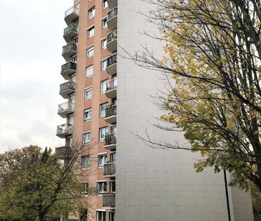 Location appartement 2 pièces, 57.30m², Maisons-Alfort - Photo 2