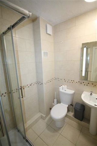 Parkview Mansions, Harold's Cross, Dublin 6W, D6WX258 - Photo 3