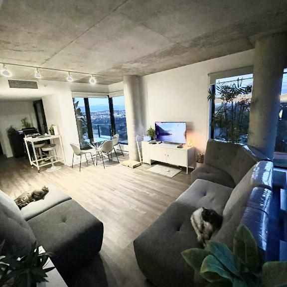 Lumineux 4.5 - Photo 1