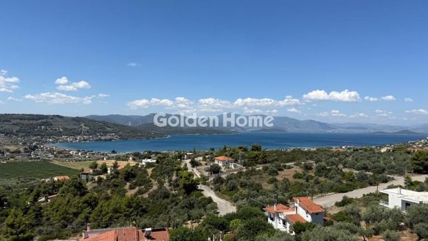 Μονοκατοικία για ενοικίαση Θεολόγος (Μαλεσίνα) - Φωτογραφία 1