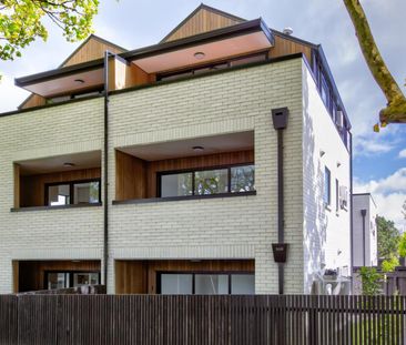 11/9 Francis Street, Grey Lynn - Photo 4