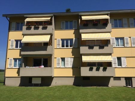 4 1/2-Zimmerwohnung, Parterre rechts - Photo 3
