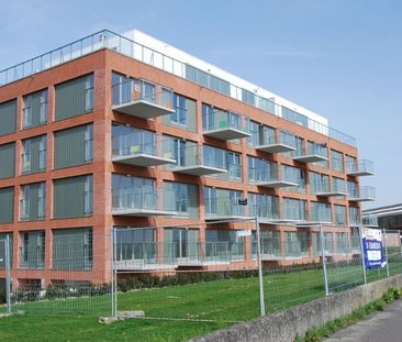 Appartement te huur in Terhagen voor € 925 met 1 slaapkamer - Photo 2