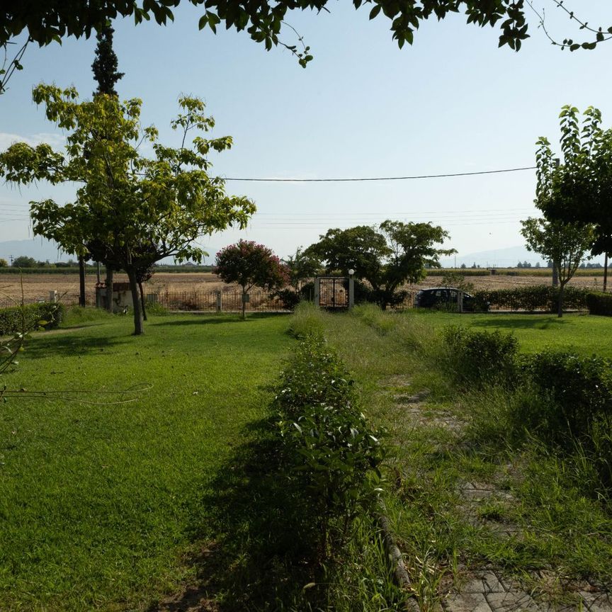 Μονοκατοικία για ενοικίαση Κέντρο (Νίκαια) - Photo 1