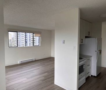 2-Bedroom Fully Renovated close to SkyTrain (Lougheed) - Photo 4