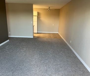 Spacious 2nd Floor 2 Bedroom Cat Friendly Suite in Clearview! - Photo 1