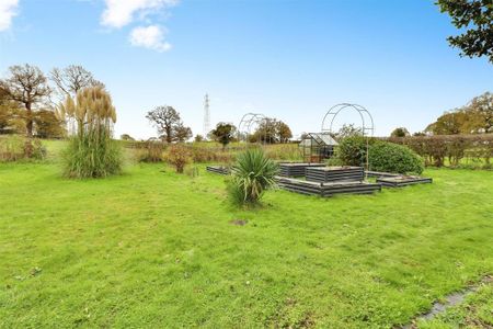 3 bedroom detached house to rent - Photo 3