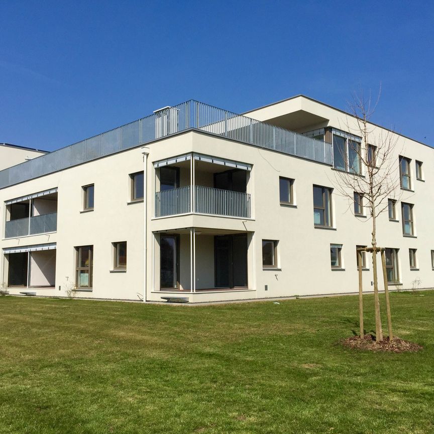 Graz, Herbert-Boeckl-Gasse - Photo 1