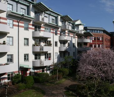 Olaigatan 3 B - Photo 4