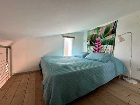 Location Appartement 1 pièce 36m² HYERES 83400 - Photo 4