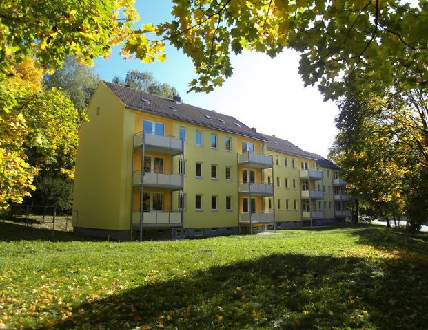 3-Raum-Wohnung - Foto 1