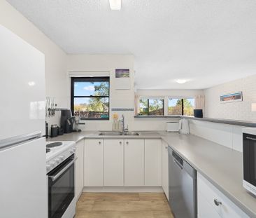 16/12 Wilkins Street, Mawson ACT 2607 - Apartment For Rent | Domain - Photo 2