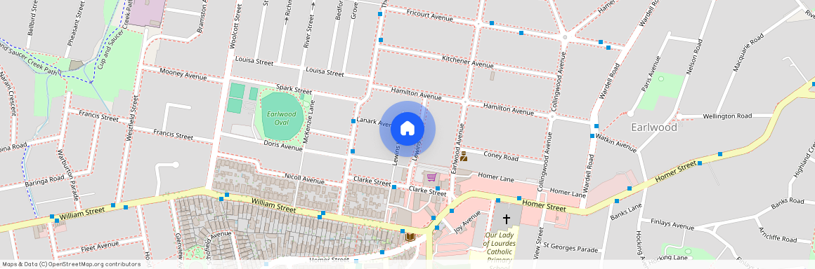 9 Lewins Street, NSW 2206, Earlwood