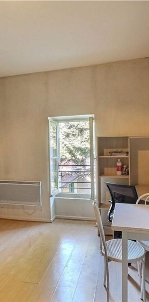 Location Appartement 1 pièce Meublé 18m² CASTRES 81100 - Photo 1