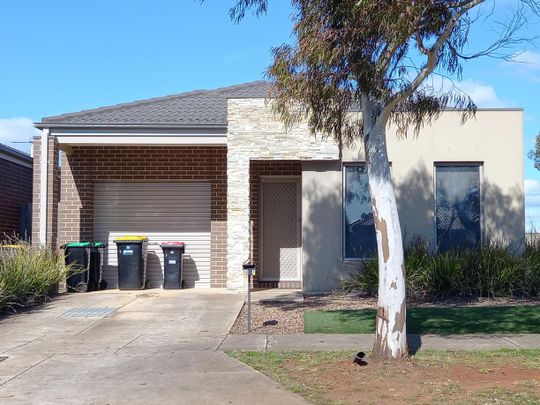 Pristine 3 bedroom home - Photo 1