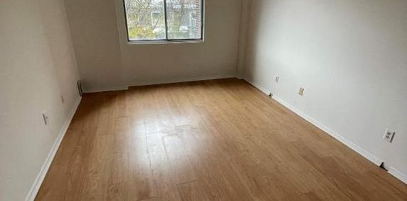 1 CH - 1 SDB - Côte Saint-Luc - $1,304 /mo - Photo 2