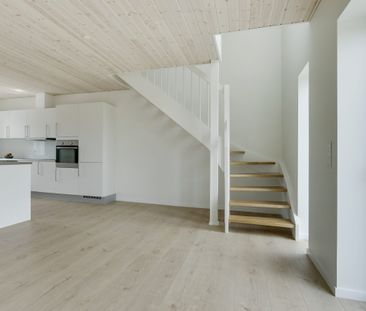 4 værelses rækkehus til leje i skønne Silkeborg - Photo 3