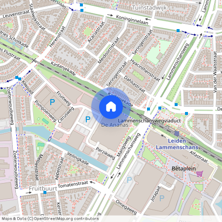 Ananasweg 60, Cronestein, 2321DC, Leiden