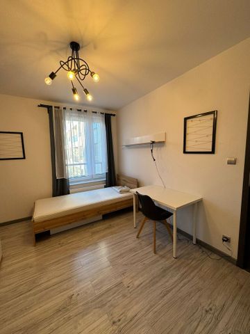 Mieszkanie rozkładowe 1 pokój 11 m² Wrocław-Śródmieście - Ołbin - Zdjęcie 5