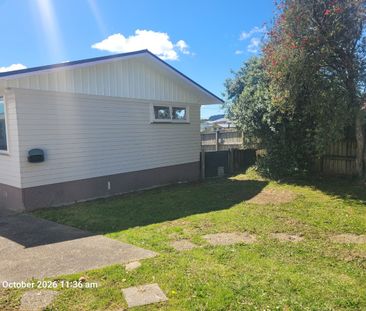 Freshly Renovated 4-Bedroom Home + Sleepout Cabin - Photo 4