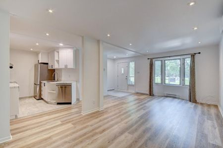 Appartement à louer - Montréal (Le Sud-Ouest) (Côte-Saint-Paul) Appartement à louer - Montréal (Le Sud-Ouest) (Côte-Saint-Paul) - Photo 3