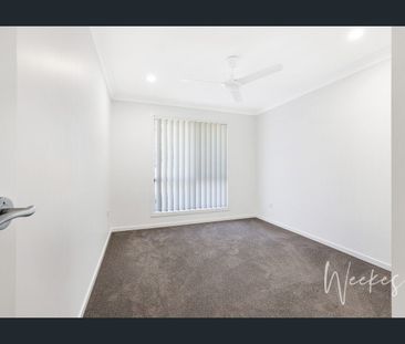 17 Wilson Street, Kepnock, Qld 4670 - Photo 3