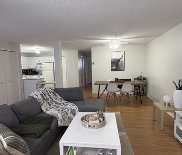 4 1/2 Gatineau - Grand Demi Sous-sol - Photo 3