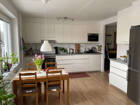 Råbyvägen, Uppsala - Foto 5