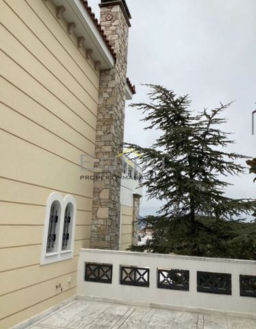 Μονοκατοικία για ενοικίαση Νέα Ερυθραία - Photo 3