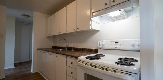 1 CH - 1 SDB - Gatineau - $1,449 /mo - Photo 2