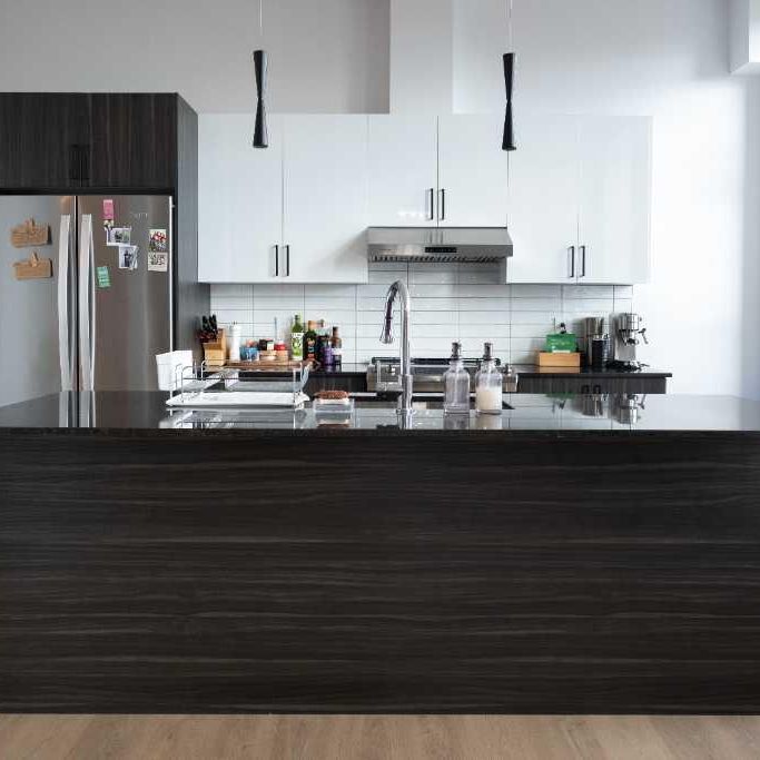 Magnifique 4½ lumineux à aire ouverte à Saint-Hyacinthe - Photo 1