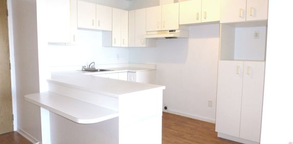 BEAU 4½|CHIENS ACCEPTÉS|TOUT INCLUS - Photo 2