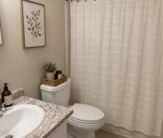 Newly Renovated 1 bedroom unit available now - Photo 5