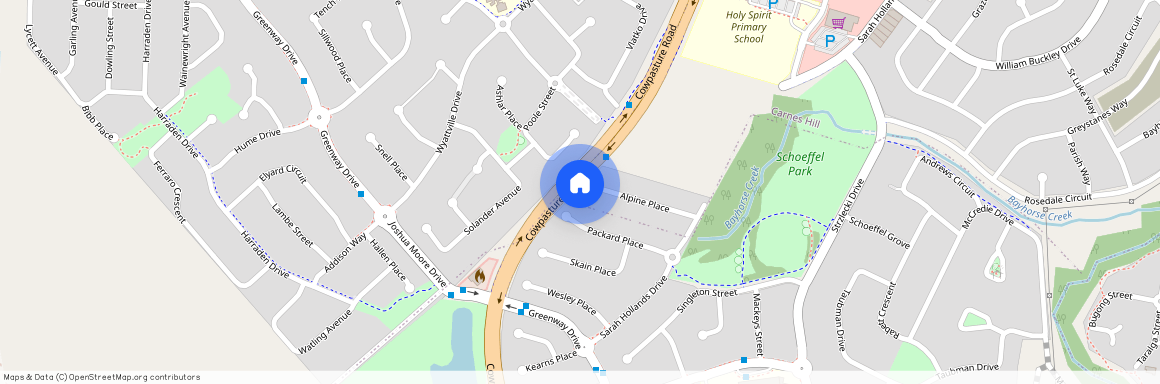 36 Alpine Place, NSW 2171, Carnes Hill