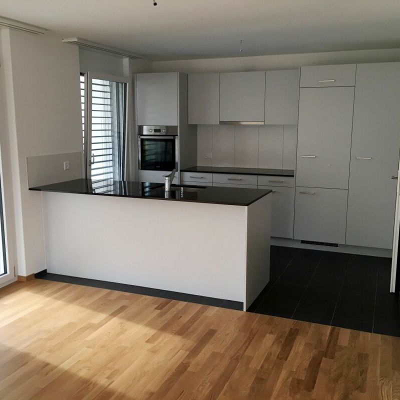 4.5 Zimmer, 107 m², 1. Stock - Photo 1