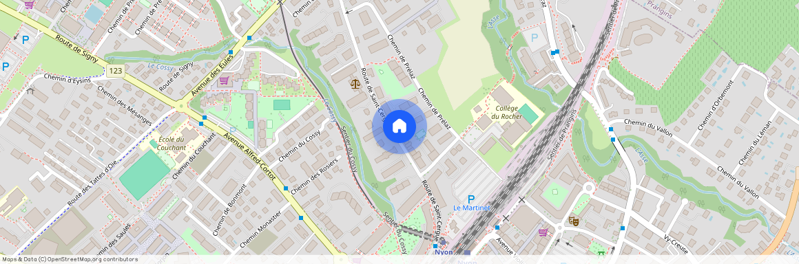 Route De Saint-Cergue 29, 1260 Nyon