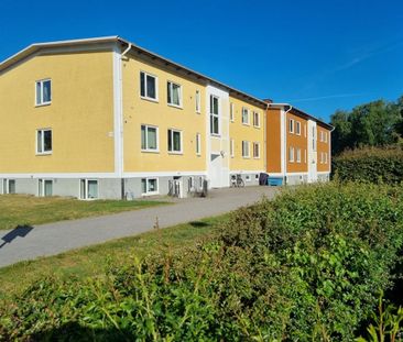 Pipers Gata 2 B - Foto 2