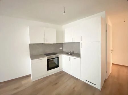 ERSTBEZUG -=Das Laurenz= 2 Zimmer Wohnung mit Loggia U3 - 1 Bedroom apartment with Loggia - Photo 3