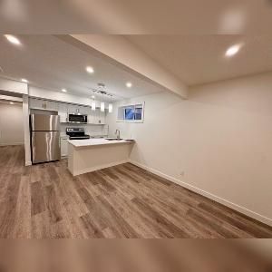 2 Bed 1 Bath Suite Rosenthal Edmonton - Photo 5