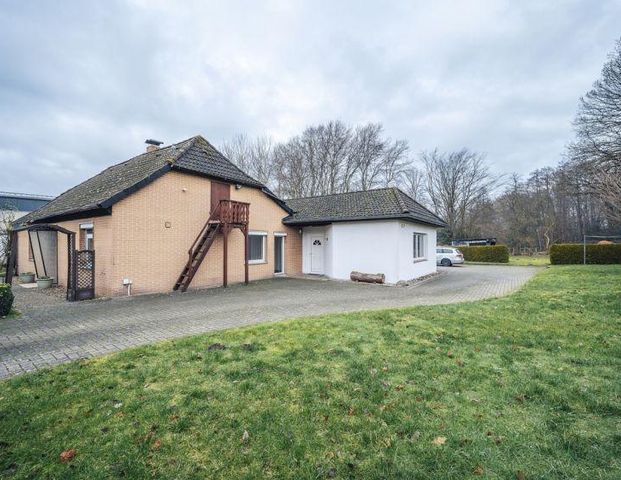 Gemütlicher Bungalow zu vermieten + zentrumsnah + großzügig + ruhig + familienfreundlich - Foto 1