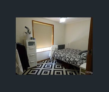 Neat As a Pin - 2 Bedroom Homette - Photo 4