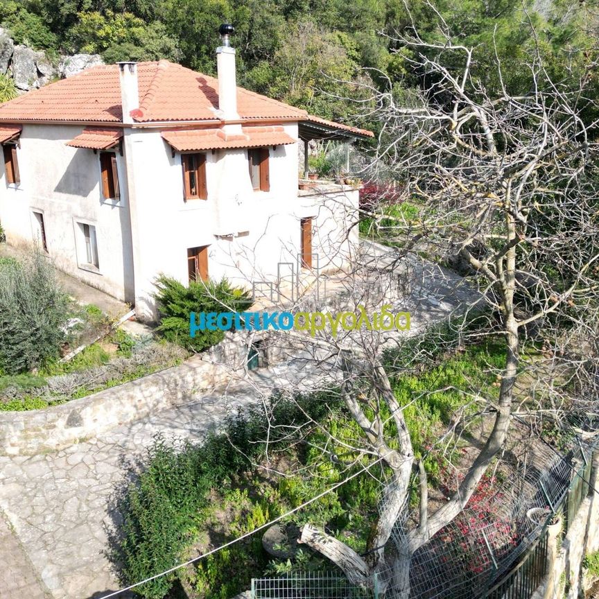 Μονοκατοικία για ενοικίαση Αριά (Λύρκεια) - Photo 1