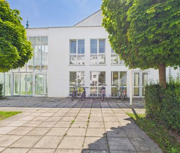 1 Zimmer-Wohnung mit 3m² Loggia | ab Februar 2026 verfügbar - Photo 3