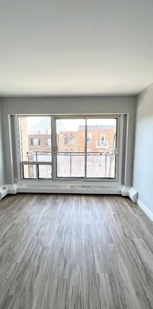 Studio - Montréal - $1,000 /mo - Photo 1