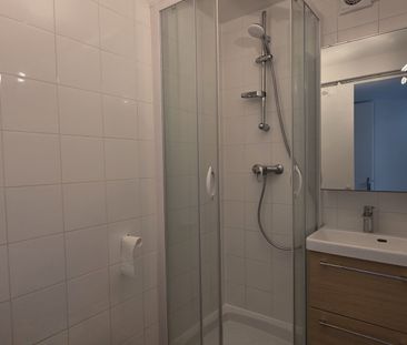 Maison Meublée CHATOU – Jardin - Photo 6